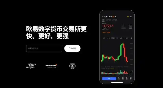 OK币网页版页面展示
